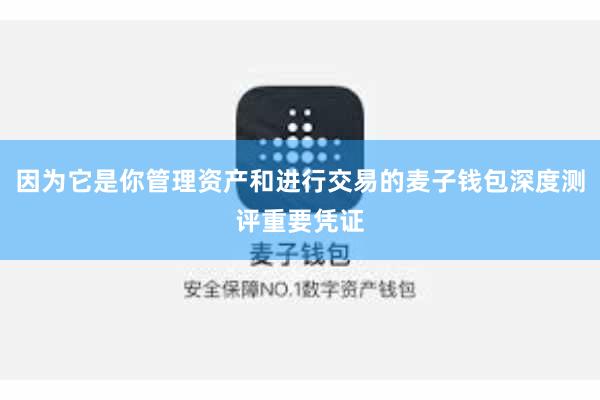 因为它是你管理资产和进行交易的麦子钱包深度测评重要凭证
