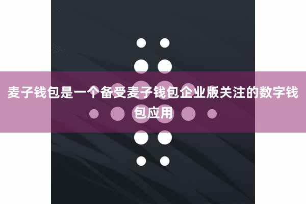 麦子钱包是一个备受麦子钱包企业版关注的数字钱包应用