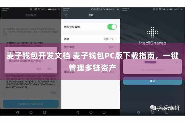 麦子钱包开发文档 麦子钱包PC版下载指南，一键管理多链资产