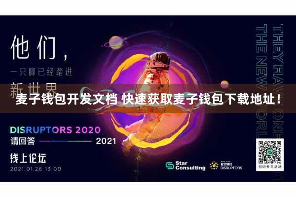 麦子钱包开发文档 快速获取麦子钱包下载地址！