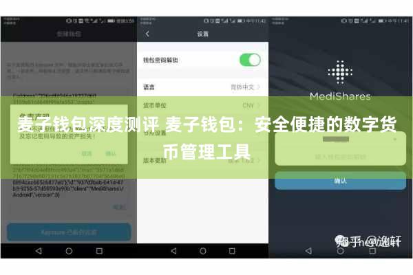 麦子钱包深度测评 麦子钱包：安全便捷的数字货币管理工具