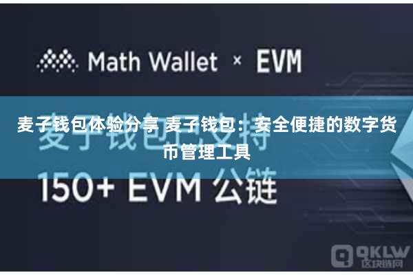 麦子钱包体验分享 麦子钱包：安全便捷的数字货币管理工具