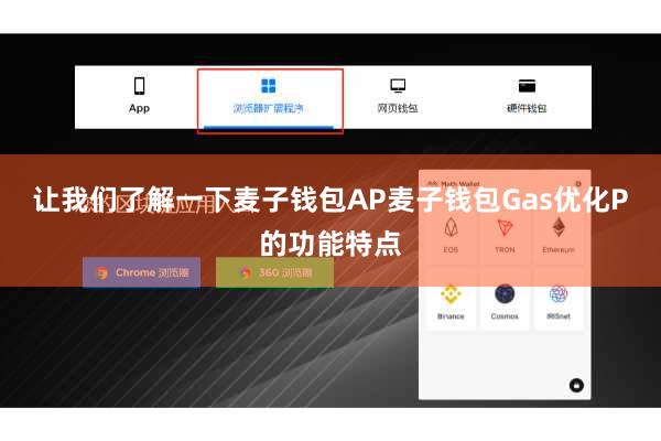 让我们了解一下麦子钱包AP麦子钱包Gas优化P的功能特点