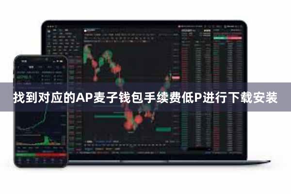 找到对应的AP麦子钱包手续费低P进行下载安装