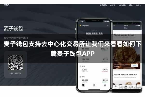 麦子钱包支持去中心化交易所让我们来看看如何下载麦子钱包APP