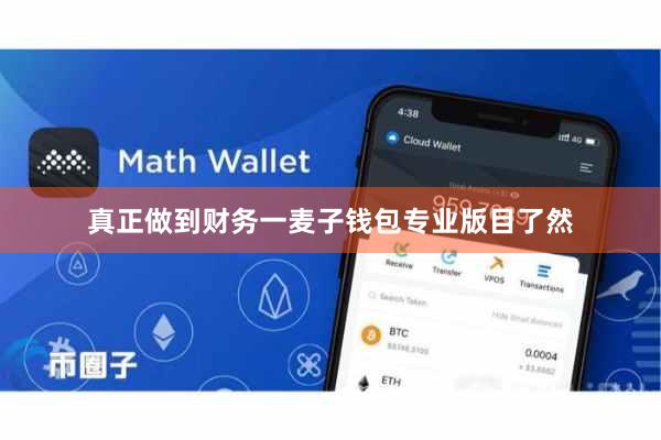 真正做到财务一麦子钱包专业版目了然