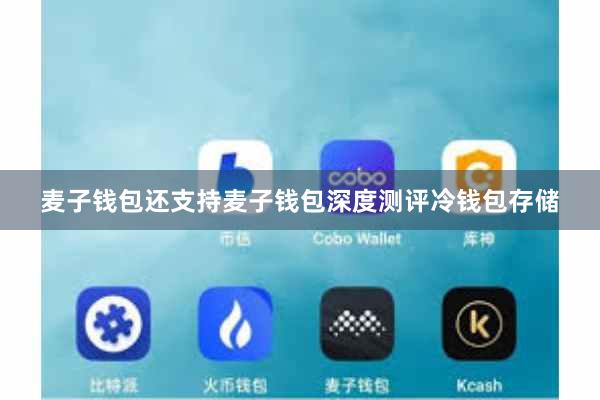 麦子钱包还支持麦子钱包深度测评冷钱包存储