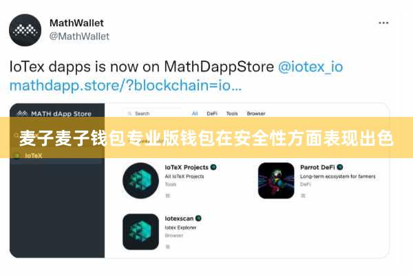 麦子麦子钱包专业版钱包在安全性方面表现出色