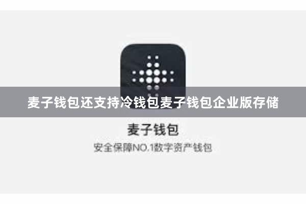 麦子钱包还支持冷钱包麦子钱包企业版存储