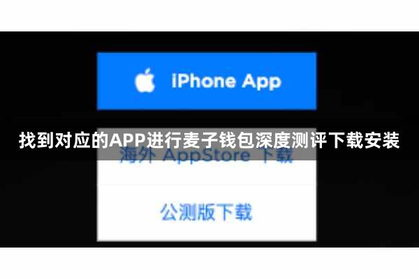 找到对应的APP进行麦子钱包深度测评下载安装