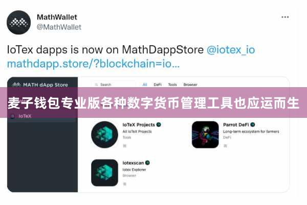 麦子钱包专业版各种数字货币管理工具也应运而生