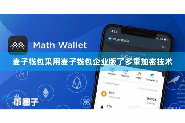 麦子钱包采用麦子钱包企业版了多重加密技术