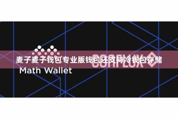 麦子麦子钱包专业版钱包还支持冷钱包存储