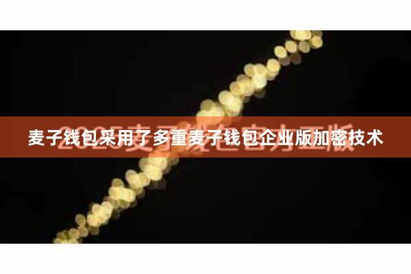 麦子钱包采用了多重麦子钱包企业版加密技术