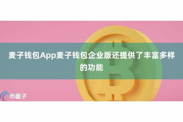 麦子钱包App麦子钱包企业版还提供了丰富多样的功能