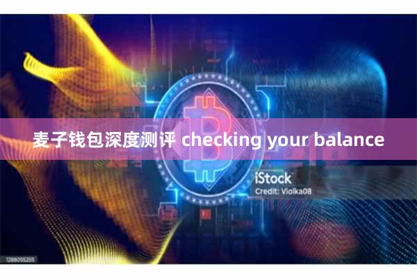 麦子钱包深度测评 checking your balance