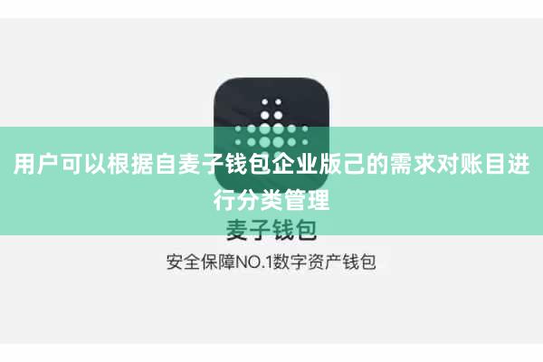 用户可以根据自麦子钱包企业版己的需求对账目进行分类管理