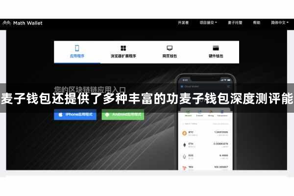 麦子钱包还提供了多种丰富的功麦子钱包深度测评能