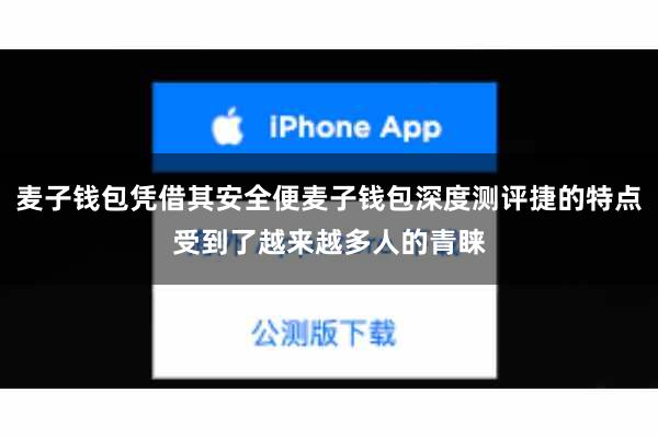 麦子钱包凭借其安全便麦子钱包深度测评捷的特点受到了越来越多人的青睐