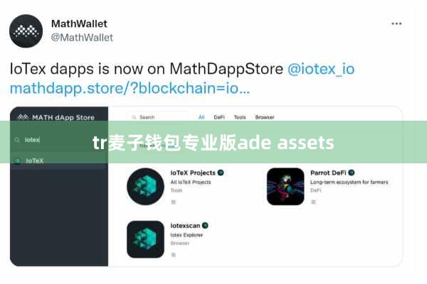 tr麦子钱包专业版ade assets