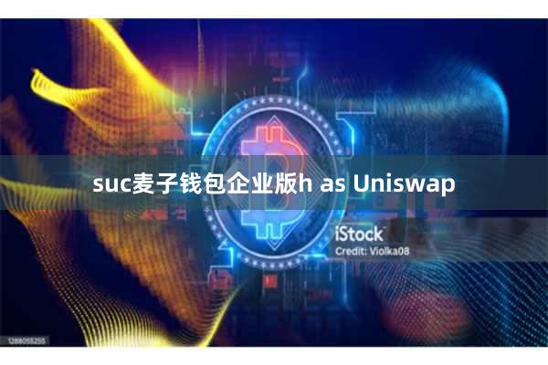 suc麦子钱包企业版h as Uniswap