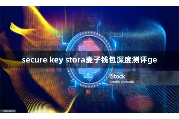 secure key stora麦子钱包深度测评ge