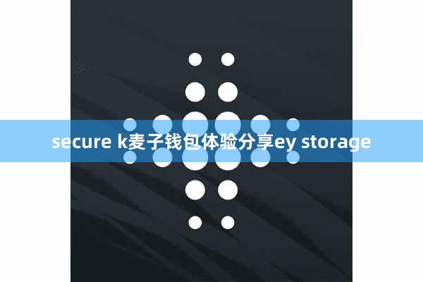 secure k麦子钱包体验分享ey storage