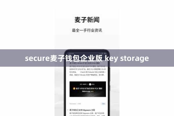 secure麦子钱包企业版 key storage