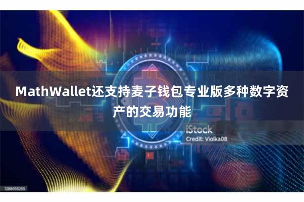 MathWallet还支持麦子钱包专业版多种数字资产的交易功能
