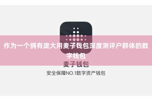 作为一个拥有庞大用麦子钱包深度测评户群体的数字钱包