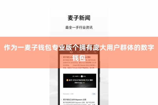 作为一麦子钱包专业版个拥有庞大用户群体的数字钱包