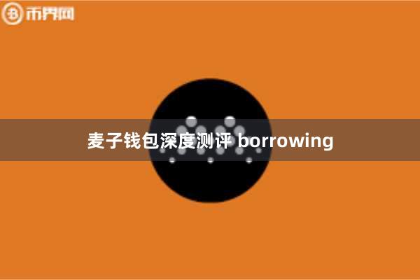 麦子钱包深度测评 borrowing