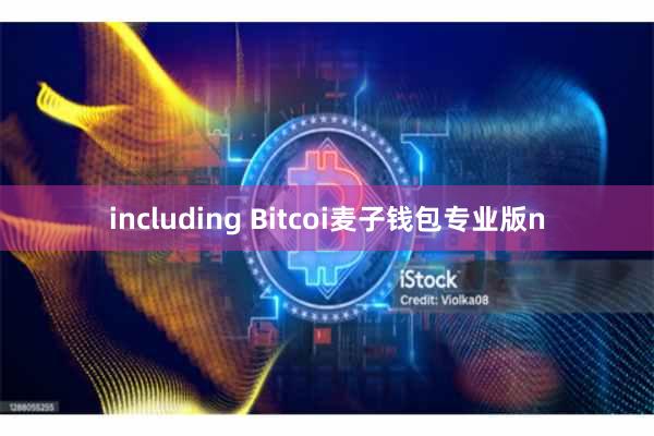 including Bitcoi麦子钱包专业版n
