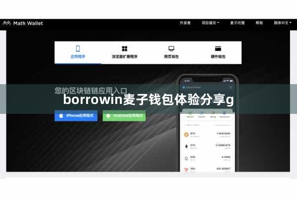 borrowin麦子钱包体验分享g
