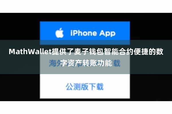 MathWallet提供了麦子钱包智能合约便捷的数字资产转账功能