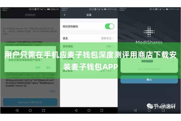 用户只需在手机应麦子钱包深度测评用商店下载安装麦子钱包APP