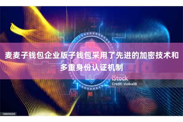 麦麦子钱包企业版子钱包采用了先进的加密技术和多重身份认证机制