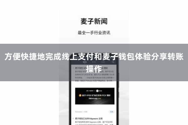 方便快捷地完成线上支付和麦子钱包体验分享转账操作