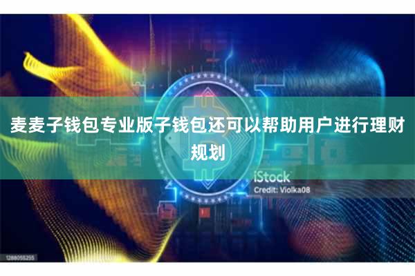 麦麦子钱包专业版子钱包还可以帮助用户进行理财规划