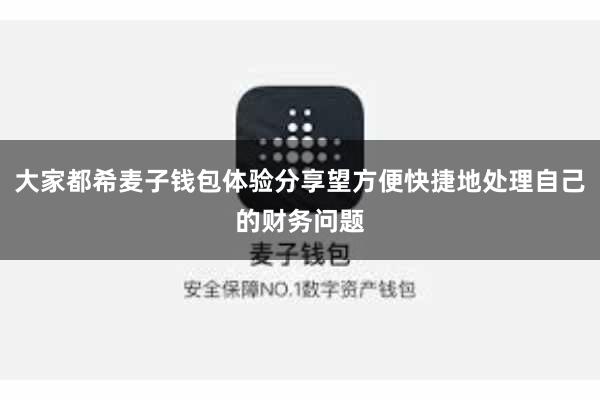 大家都希麦子钱包体验分享望方便快捷地处理自己的财务问题