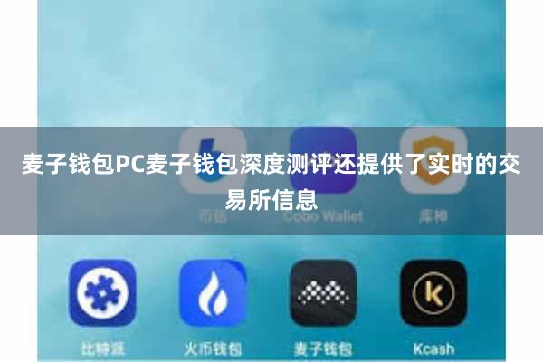 麦子钱包PC麦子钱包深度测评还提供了实时的交易所信息
