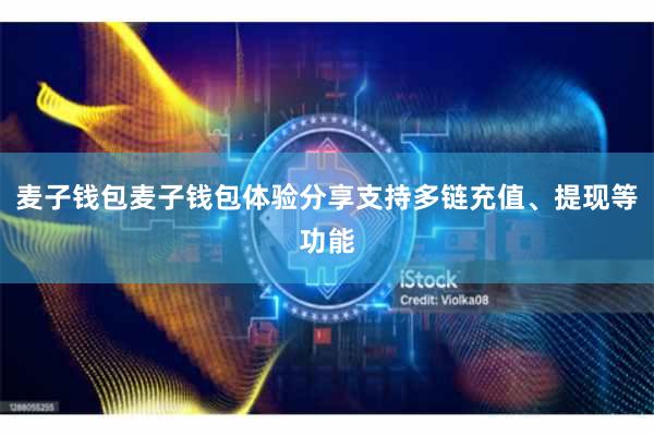 麦子钱包麦子钱包体验分享支持多链充值、提现等功能