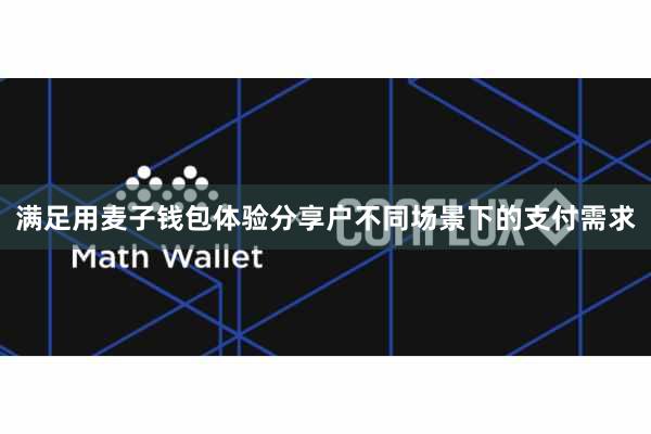 满足用麦子钱包体验分享户不同场景下的支付需求