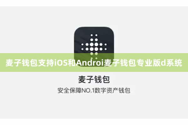 麦子钱包支持iOS和Androi麦子钱包专业版d系统