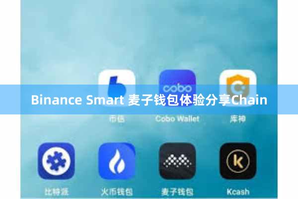 Binance Smart 麦子钱包体验分享Chain
