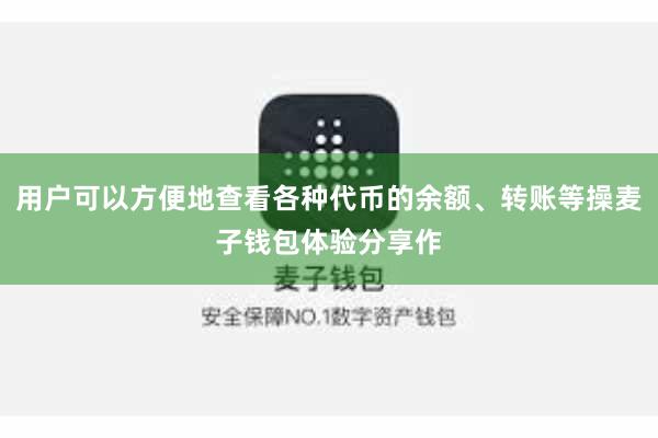 用户可以方便地查看各种代币的余额、转账等操麦子钱包体验分享作