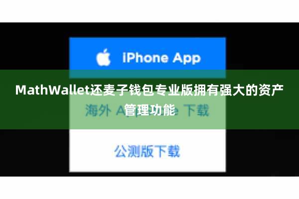 MathWallet还麦子钱包专业版拥有强大的资产管理功能