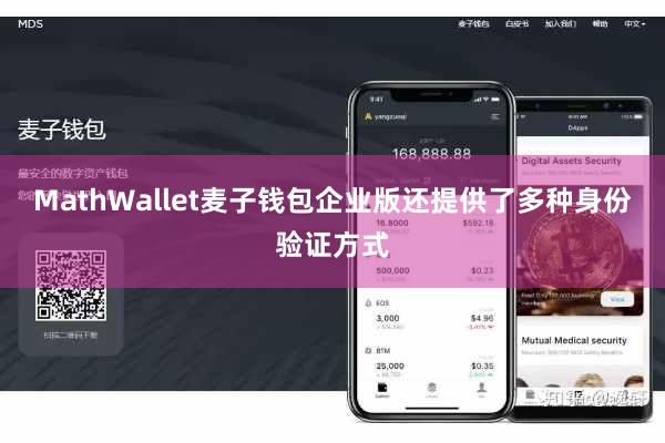 MathWallet麦子钱包企业版还提供了多种身份验证方式